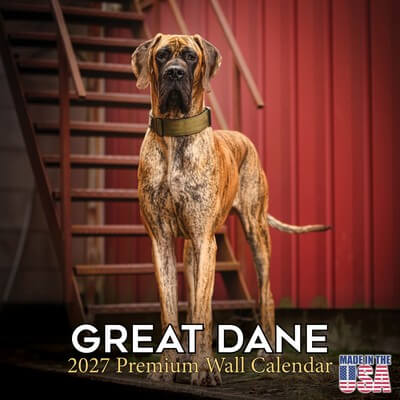 Great Danes 2027 Wall Calendar
