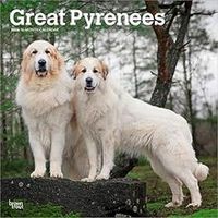 Great Pyrenees 2026 Calendar
