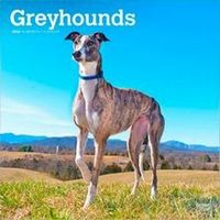 Greyhound Calendars