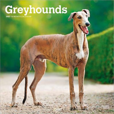 Greyhounds 2027 Calendar