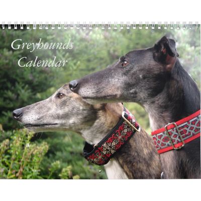 Greyhounds 2027 Calendar