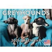 Greyhounds 2026 Calendar