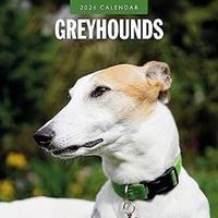 Greyhounds 2026 Calendar