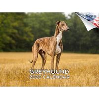 Greyhounds 2026 Calendar
