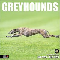 Greyhounds 2026 Calendar