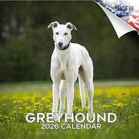 Greyhounds 2026 Calendar