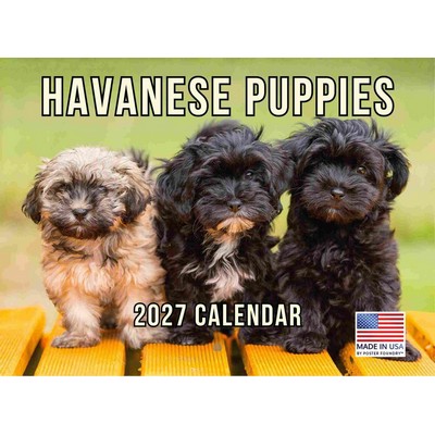Havanese Puppies 2027 Calendar
