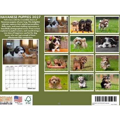 Havanese Puppies 2027 Calendar