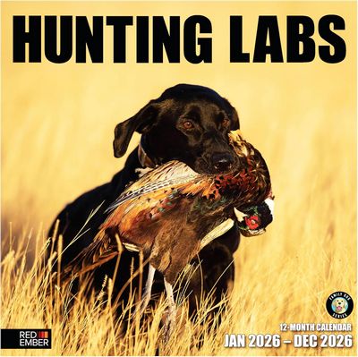 Hunting Labs 2026 Wall Calendar
