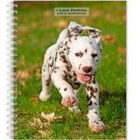 I Love Puppies 2026 16 Month Planner
