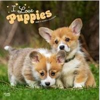 I Love Puppies Calendar