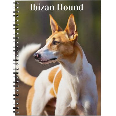 Ibizan Hound Notebook