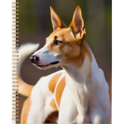 Ibizan Hound Planner