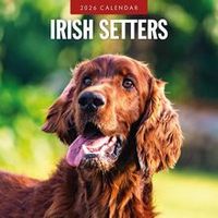 Irish Setter 2026 Calendar