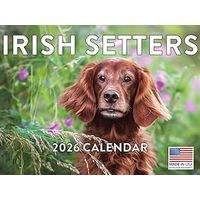 Irish Setter 2026 Calendar