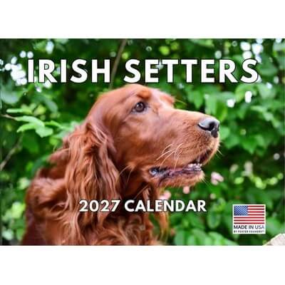 Irish Setters 2027 Calendar