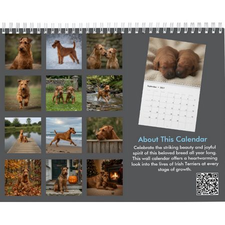 Irish Terrier 2027 Calendar