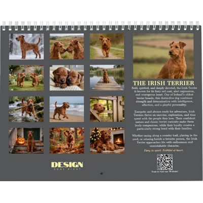 Irish Terrier 2027 Calendar