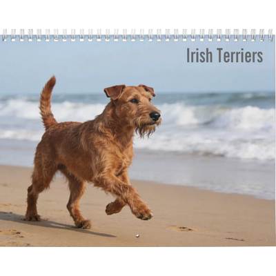 Irish Terriers 2027 Calendar