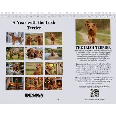 Irish Terriers 2027 Calendar
