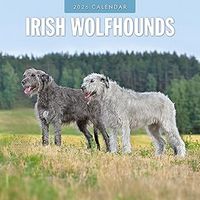 Irish Wolfhounds 2026 Calendar