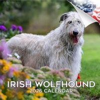 Irish Wolfhounds 2026 Calendar