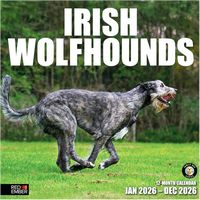 Irish Wolfhounds 2026 Calendar