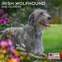 Irish Wolfhounds 2026 Calendar