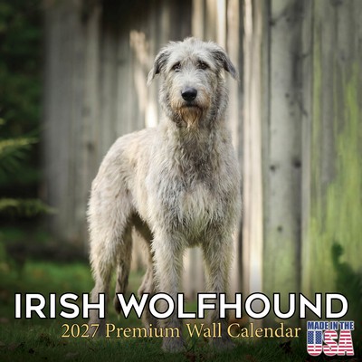 Irish Wolfhound 2027 Calendar
