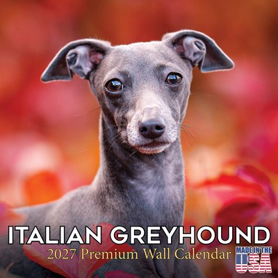 Italian Greyhound 2027 Calendar