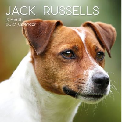 Jack Russells 2027 Calendar
