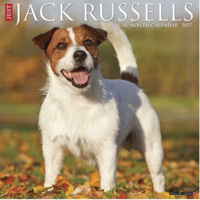 Jack Russells 2027 Calendar