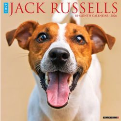 Jack Russell Terrier 2026 Calendar