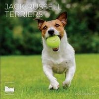 Jack Russell Terriers 2026 Calendar