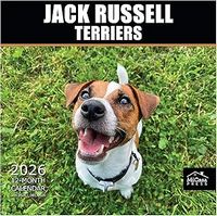 Jack Russell 2026 Calendar