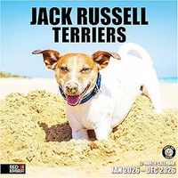 Jack Russell 2026 Calendar