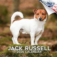 Jack Russell 2026 Calendar