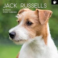 Jack Russell 2026 Calendar