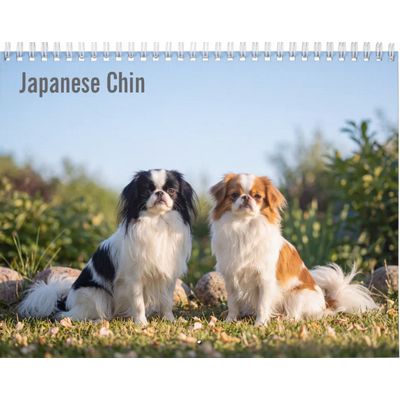 Japanese Chin 2027 Calendar