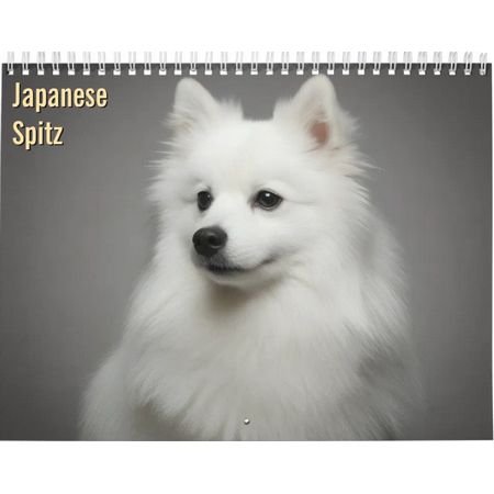 Japanese Spitz 2027 Calendar