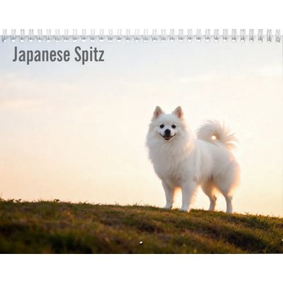 Japanese Spitz 2027 Calendar