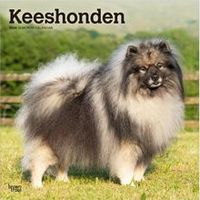 Keeshonden 2026 Calendar