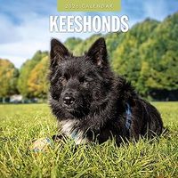 Keeshonden 2026 Calendar