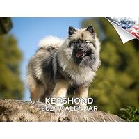 Keeshonden 2026 Calendar