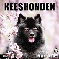 Keeshonden 2026 Calendar