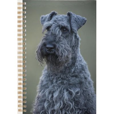 Kerry Blue Terrier Planner