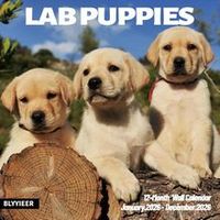 Lab Puppies 2026 Wall Calendar