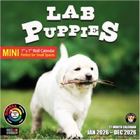 Lab Puppies 2026 Wall Calendar
