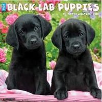 Black Lab Puppy Calendar