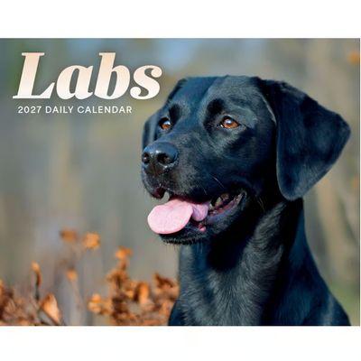 Labs 2027 Desk Calendar